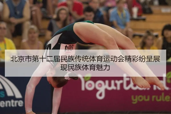 bei-jing-shi-di-shi-er-jie-min-zu-chuan-tong-ti-yu-yun-dong-hui-jing-cai-fen-cheng-zhan-xian-min-zu-ti-yu-mei-li-2-339.jpg